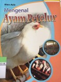 Mengenal Ayam Petelur