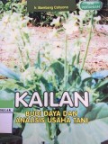 Kailan Budi Daya dan Analisis Usaha Tani