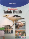 Budidaya Jalak Putih