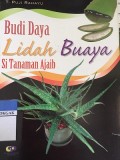 Budi Daya Lidah Buaya : si tanaman ajaib