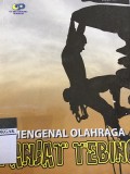 Mengenal Olahraga Panjat Tebing