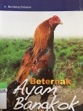 Berternak Ayam Bangkok
