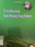 Cara Berternak Sapi Potong Yang Sukses
