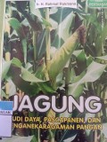 Jagung ' Budidaya, Pascapanen, dan Keanekaragaman Pangan'