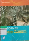 Terna Ayam Cemani