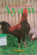 Mari Beternak Ayam