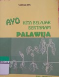 Ayo Kita Belajar Bertanam Palawija
