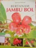 Bertanam Jambu Bol