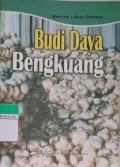 Budidaya Bengkuang