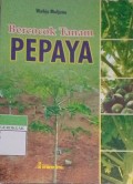 Bercocok Tanam Pepaya