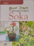 Budi daya Tanaman Soka