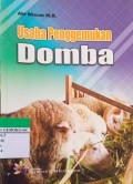 Usaha Penggemukan Domba
