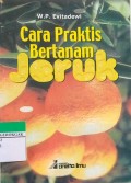 Cara Praktis Bertanam Jeruk