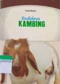 Budidaya Kambing