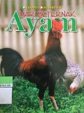 Mari Berternak Ayam