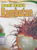Budi Daya Rambutan