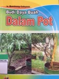 BUdi Daya Buah Dalam Pot