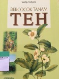 Bercocok Tanam teh