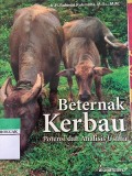 Beternak kerbau : Potensi dan Analisis Usaha