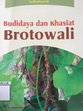 Budidaya dan Khasiat Brotawali